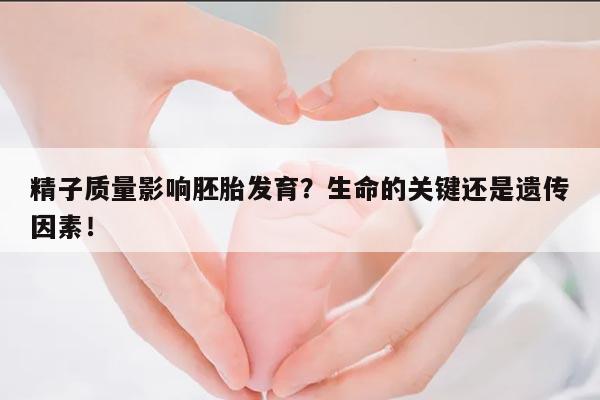 精子质量差会对胚胎停育产生影响吗?