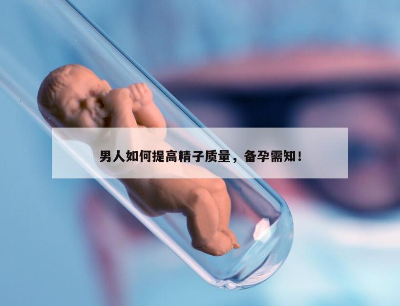 男人备孕吃什么提高精子质量