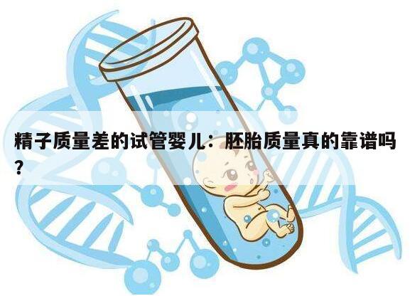 精子质量差是否影响试管婴儿胚胎质量？