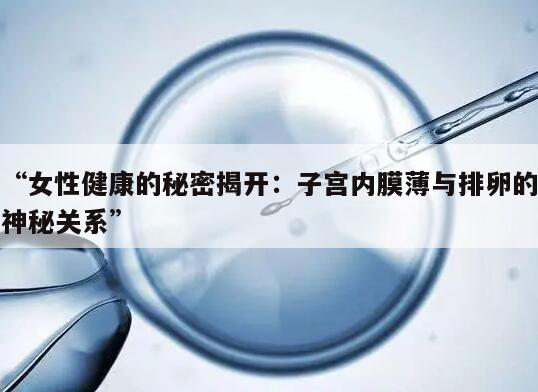 女性健康的秘密揭开:子宫内膜薄与排卵的神秘关系