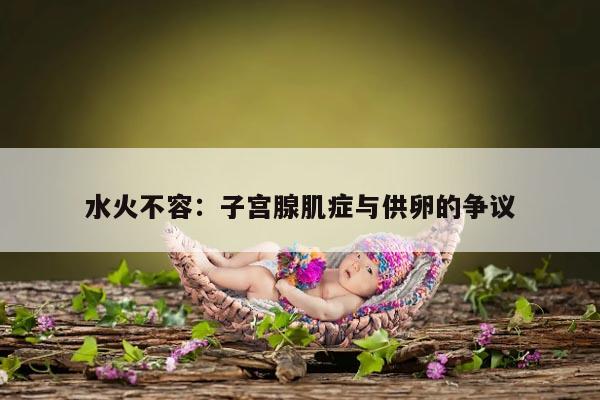 水火不容:子宫腺肌症与供卵的争议