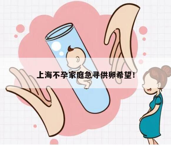上海不孕家庭急寻供卵希望！