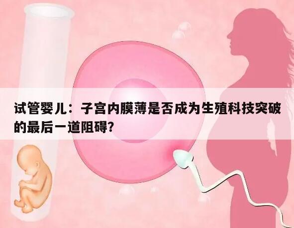 试管婴儿：子宫内膜薄是否成为生殖科技突破的最后一道阻碍？
