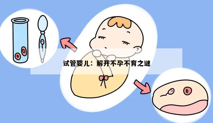 试管婴儿:解开不孕不育之谜