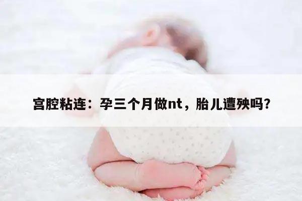 宫腔粘连:孕三个月做nt,胎儿遭殃吗?
