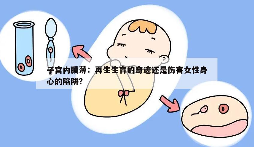 子宫内膜薄：再生生育的奇迹还是伤害女性身心的陷阱？