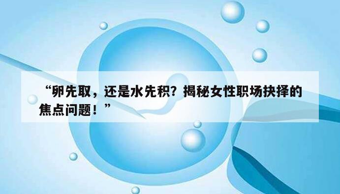 “卵先取，还是水先积？揭秘女性职场抉择的焦点问题！”