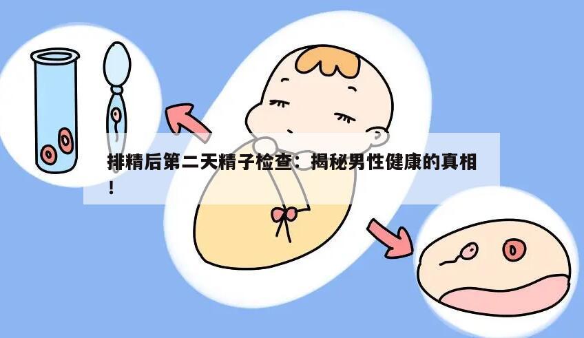 排精后第二天精子检查:揭秘男性健康的真相!