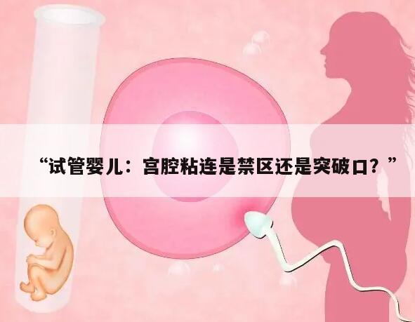“试管婴儿:宫腔粘连是禁区还是突破口?”
