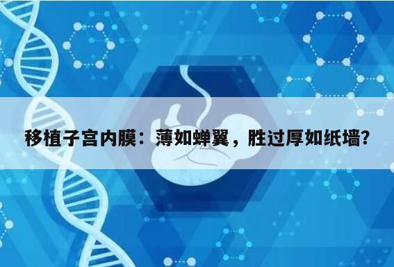 移植子宫内膜：薄如蝉翼，胜过厚如纸墙？