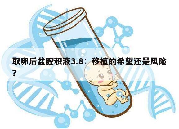 取卵后盆腔积液3.8:移植的希望还是风险?