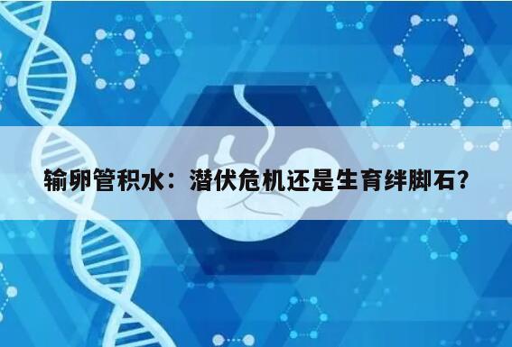 输卵管积水:潜伏危机还是生育绊脚石?