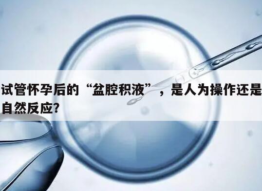 试管怀孕后的“盆腔积液”，是人为操作还是自然反应？