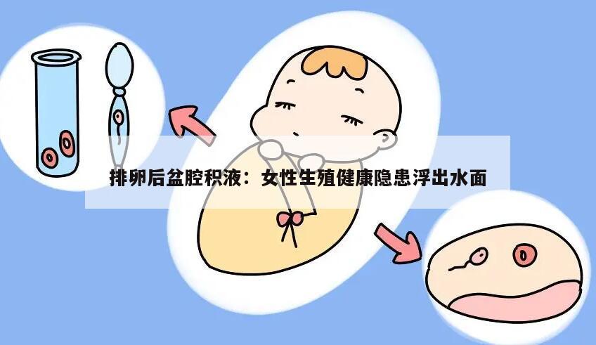 排卵后盆腔积液：女性生殖健康隐患浮出水面