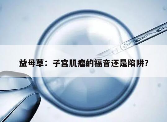 益母草:子宫肌瘤的福音还是陷阱?