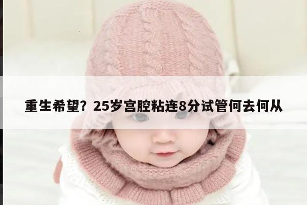 宫腔粘连与试管婴儿：仍有希望吗？