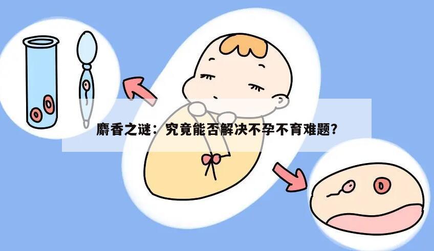 闻麝香会不孕不育吗？