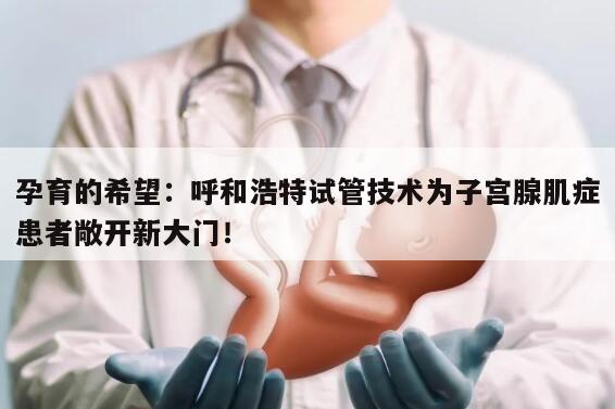 子宫腺肌症患者在呼和浩特做试管能怀上孩子吗？