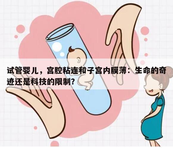 试管婴儿，宫腔粘连和子宫内膜薄：生命的奇迹还是科技的限制？