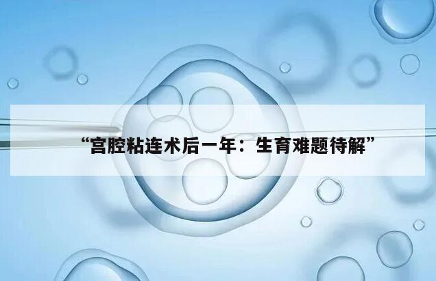 “宫腔粘连术后一年:生育难题待解”