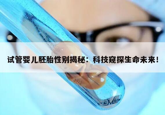 试管婴儿胚胎性别揭秘：科技窥探生命未来！