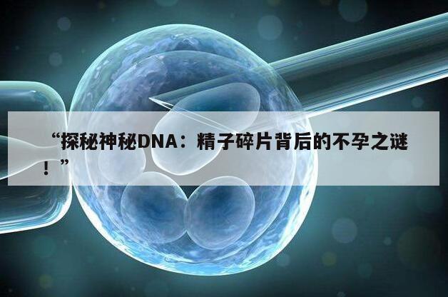 “探秘神秘DNA：精子碎片背后的不孕之谜！”