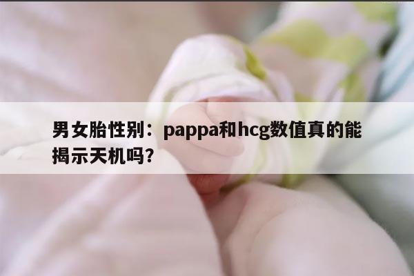 男女胎性别：pappa和hcg数值真的能揭示天机吗？