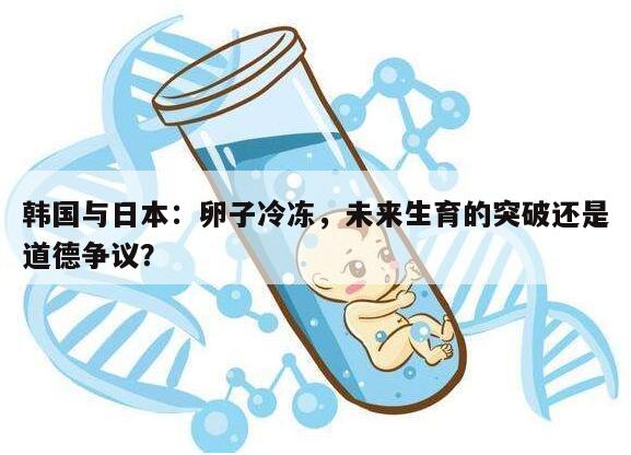 韩国与日本:卵子冷冻,未来生育的突破还是道德争议?