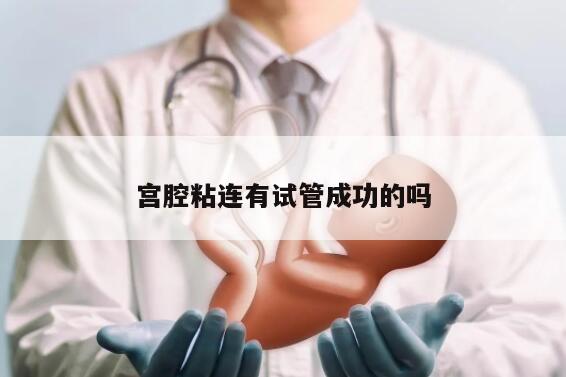 宫腔粘连有试管成功的吗