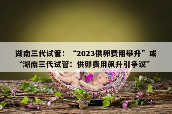 湖南三代试管供卵费用调查与分析