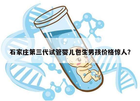 石家庄第三代试管婴儿包生男孩价格惊人？