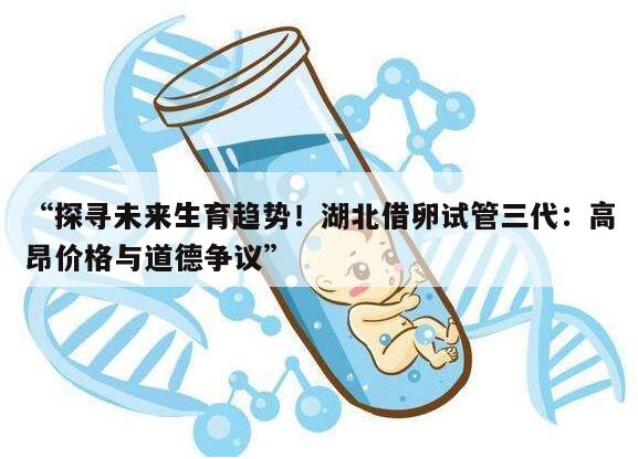 “探寻未来生育趋势!湖北借卵试管三代:高昂价格与道德争议”