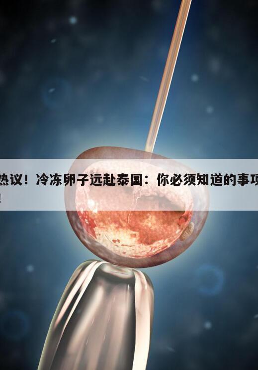 热议!冷冻卵子远赴泰国:你必须知道的事项!