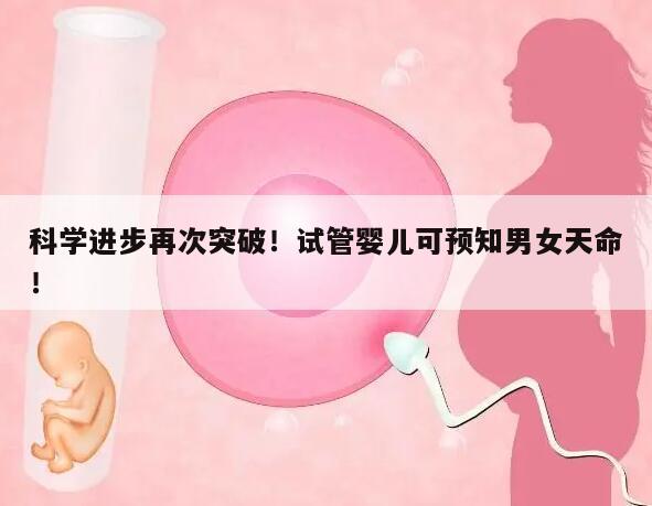 科学进步再次突破!试管婴儿可预知男女天命!