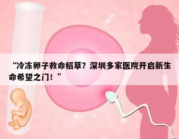 “冷冻卵子救命稻草?深圳多家医院开启新生命希望之门!”