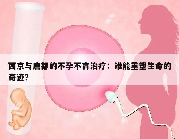 西京与唐都的不孕不育治疗：谁能重塑生命的奇迹？