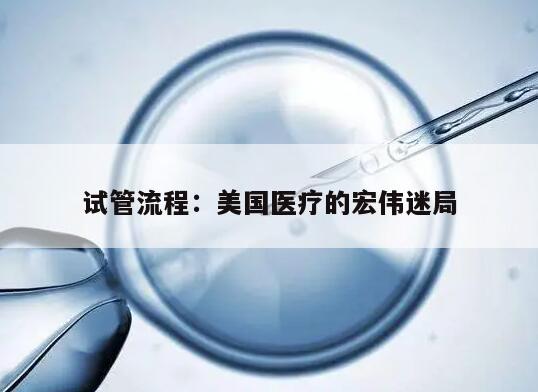 试管流程:美国医疗的宏伟迷局