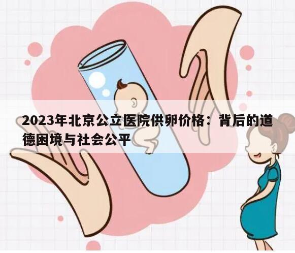 2023年北京公立医院供卵价格:背后的道德困境与社会公平