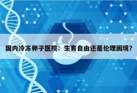 国内冷冻卵子医院:生育自由还是伦理困境?