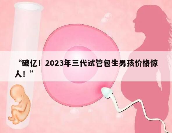 “破亿!2023年三代试管包生男孩价格惊人!”
