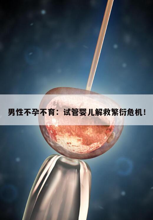 男性不孕不育:试管婴儿解救繁衍危机!