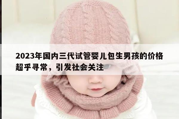 2023年国内三代试管婴儿包生男孩的价格超乎寻常,引发社会关注
