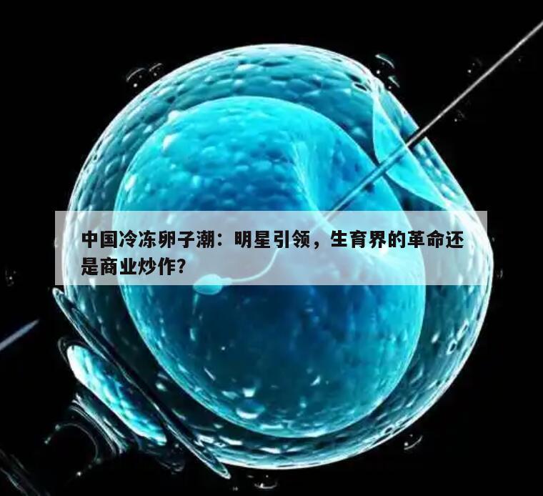 中国冷冻卵子潮：明星引领，生育界的革命还是商业炒作？