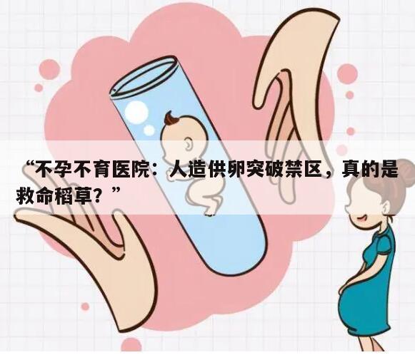 “不孕不育医院:人造供卵突破禁区,真的是救命稻草?”
