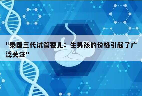 "泰国三代试管婴儿：生男孩的价格引起了广泛关注"