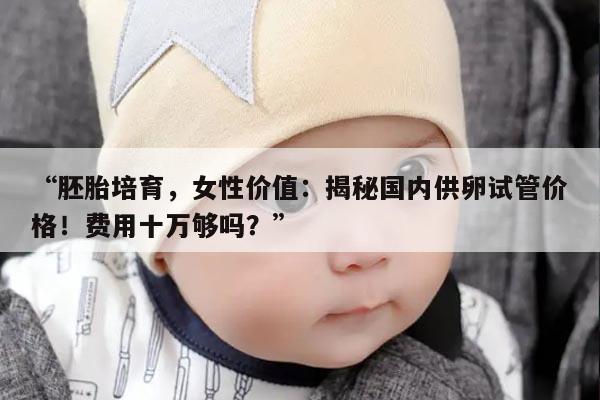 “胚胎培育,女性价值:揭秘国内供卵试管价格!费用十万够吗?”