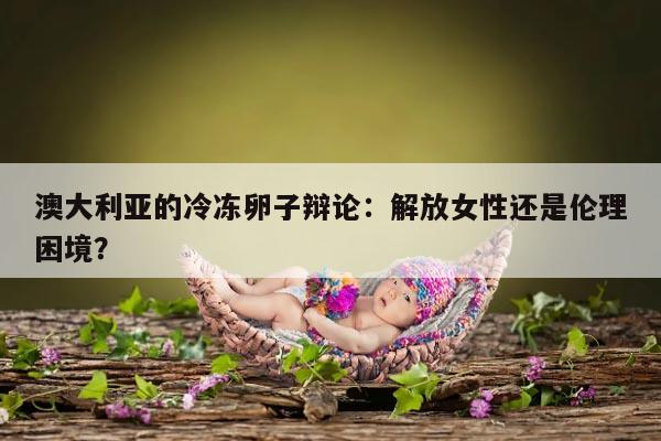 澳大利亚的冷冻卵子辩论:解放女性还是伦理困境?