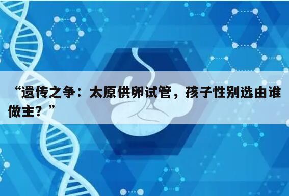 “遗传之争：太原供卵试管，孩子性别选由谁做主？”