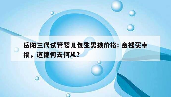 岳阳三代试管婴儿包生男孩价格: 金钱买幸福，道德何去何从？