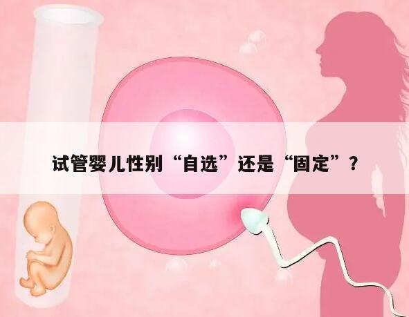试管婴儿性别“自选”还是“固定”?